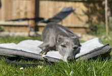 Load image into Gallery viewer, MURPHY - Fold Up Travel Dog Bed