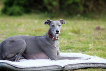 Load image into Gallery viewer, MURPHY - Fold Up Travel Dog Bed