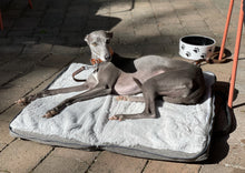 Load image into Gallery viewer, MURPHY - Fold Up Travel Dog Bed