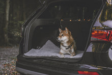 Load image into Gallery viewer, MURPHY - Fold Up Travel Dog Bed
