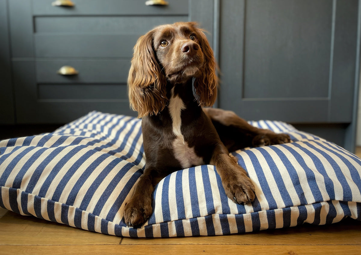 アウトドア DOG COT ND ver. RETRO STRIPE