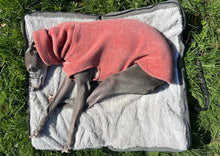 Load image into Gallery viewer, MURPHY - Fold Up Travel Dog Bed