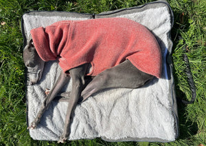 MURPHY - Fold Up Travel Dog Bed