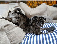 Dog cushion