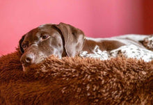 Load image into Gallery viewer, MONTEES - Brown Fluffy Round Donut Dog Bed
