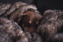 Load image into Gallery viewer, THE NORDIC- Faux Fur Dog Blanket Throw