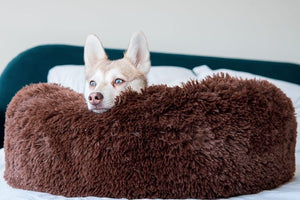 MONTEES - Brown Fluffy Round Donut Dog Bed