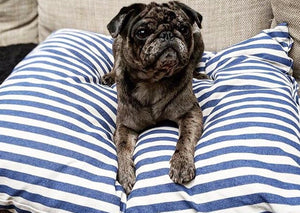 FRANCES - Vintage Stripe Linen Cushion Dog Bed