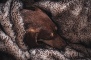 THE NORDIC- Faux Fur Dog Blanket Throw