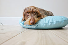 Load image into Gallery viewer, MACARON EARL GREY - Round Pebble Dog Bed