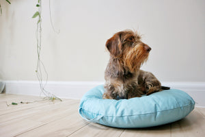 MACARON EARL GREY - Round Pebble Dog Bed