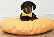 Load image into Gallery viewer, MACARON MELLOW YELLOW - Round Pebble Dog Bed