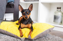 Load image into Gallery viewer, LINUS - Two Tone Suede Dog Cushion Bed
