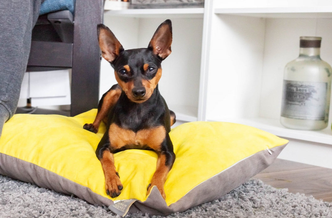 LINUS - Two Tone Suede Dog Cushion Bed