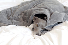 Load image into Gallery viewer, CUDDLE ME - Weighted Anxiety Dog Comfort Blanket