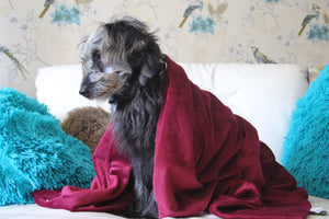 CUDDLE ME - Weighted Anxiety Dog Comfort Blanket