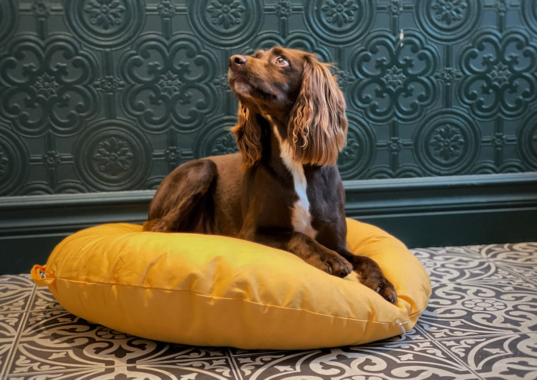 MACARON MELLOW YELLOW - Round Pebble Dog Bed