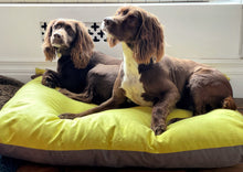 Load image into Gallery viewer, LINUS - Two Tone Suede Dog Cushion Bed