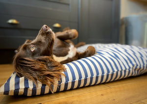 FRANCES - Vintage Stripe Linen Cushion Dog Bed